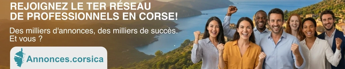 Exemple de bannière publicitaire pleine largeur 1200x240